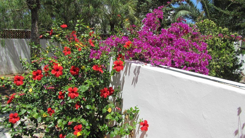 Villa Ca Daniela San Antonio  Bagian luar foto