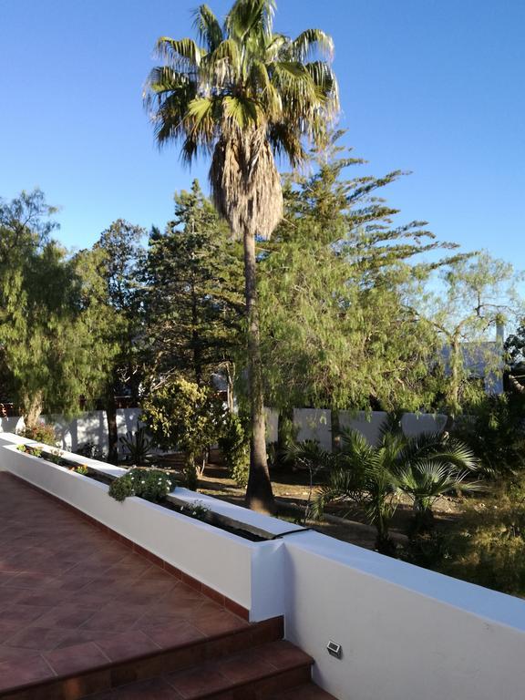 Villa Ca Daniela San Antonio  Bagian luar foto