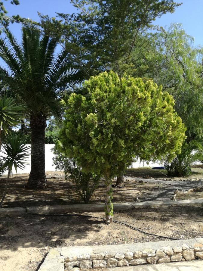 Villa Ca Daniela San Antonio  Bagian luar foto